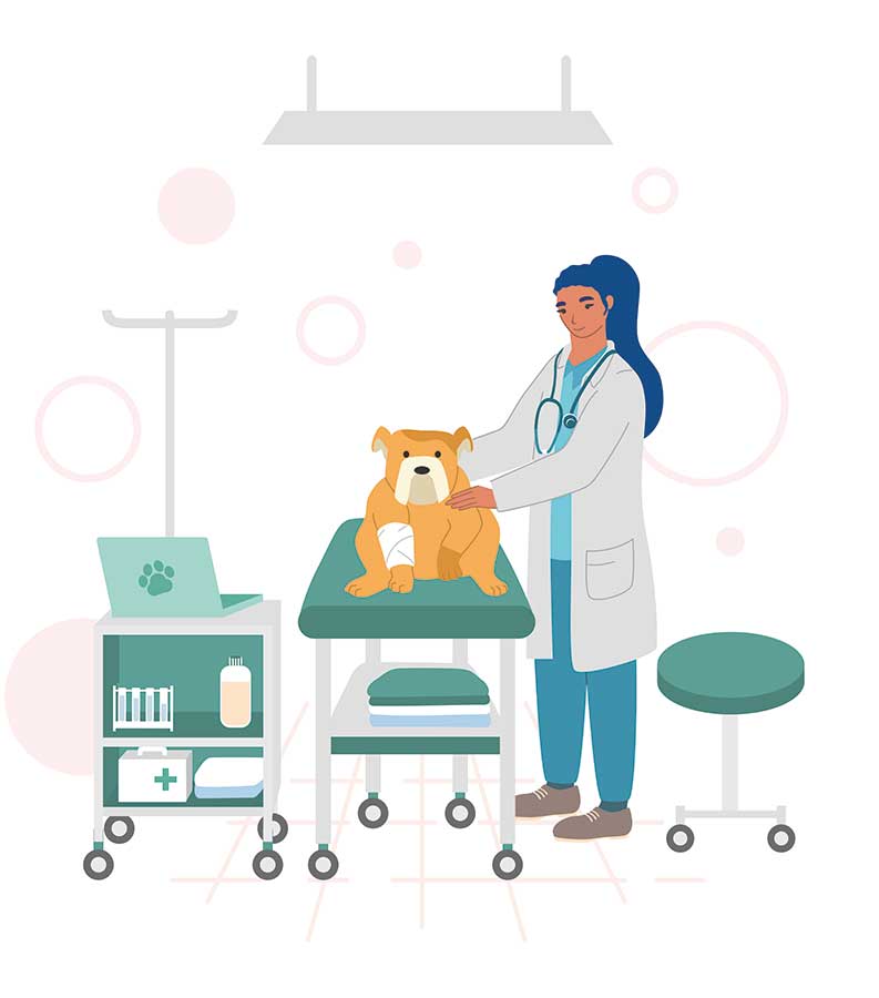 Dog on research table