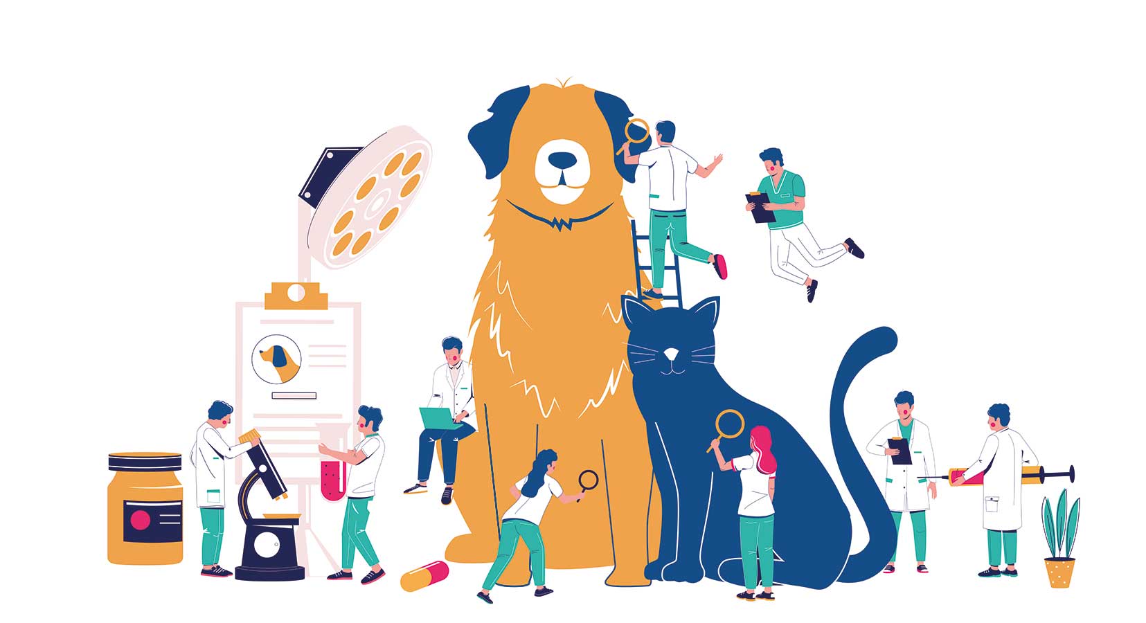 Vets investigation pets